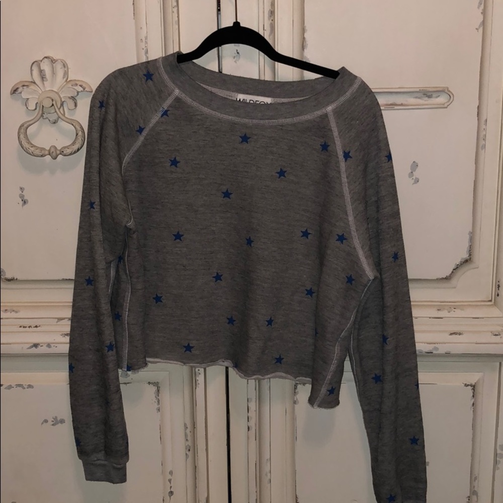 Star Wildfox Sweater